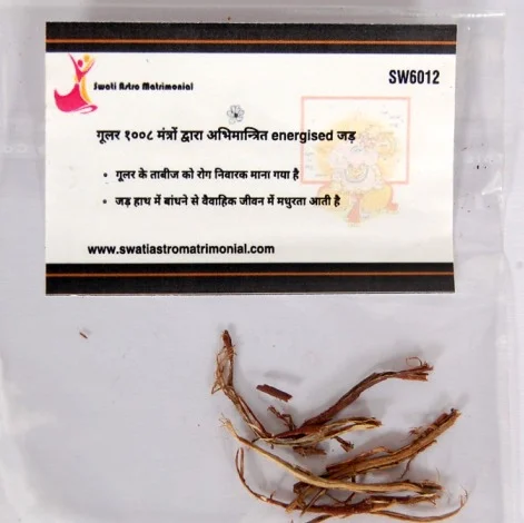 शुक्र ग्रह के लिये गूलर की १००८ मंत्रों द्वारा अभिमंत्रित energised जड़/बूटी